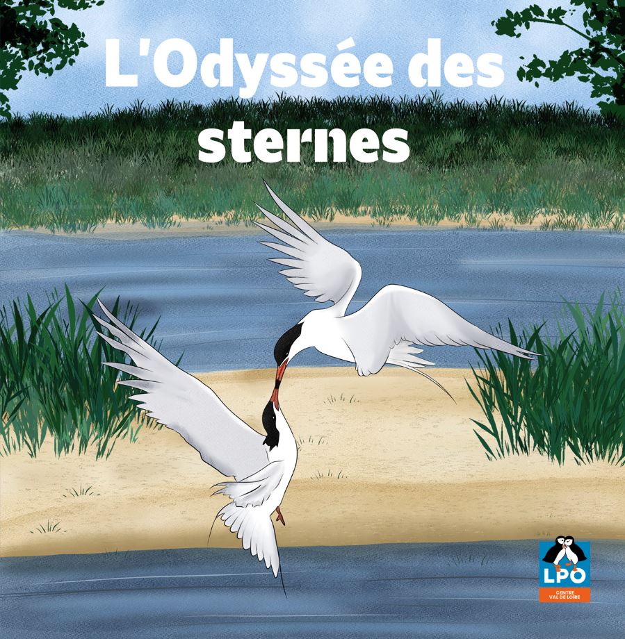 L'Odyssée des sternes